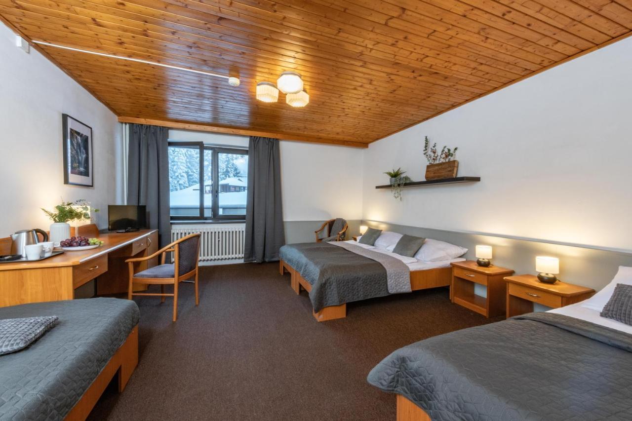 Wellness Hotel Sedy Vlk Harrachov Extérieur photo