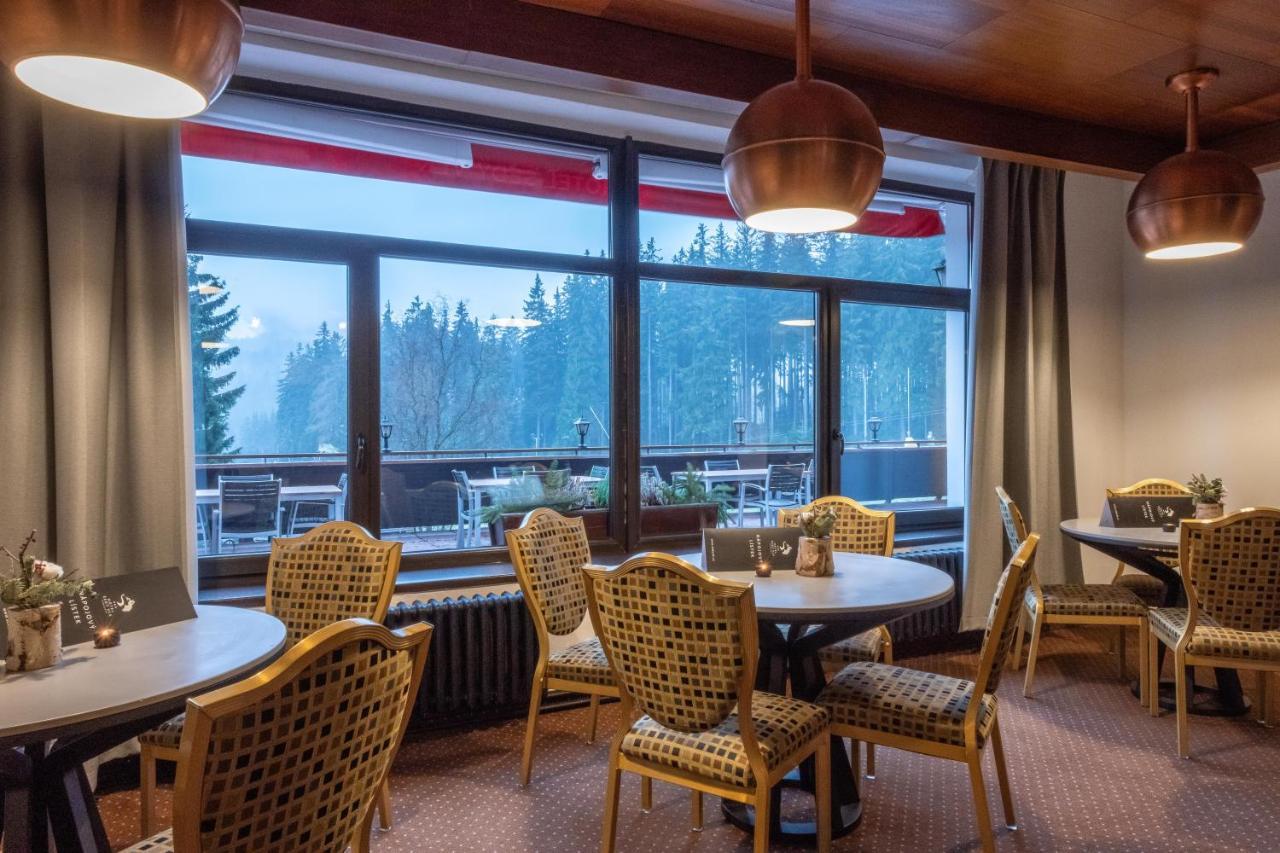 Wellness Hotel Sedy Vlk Harrachov Extérieur photo
