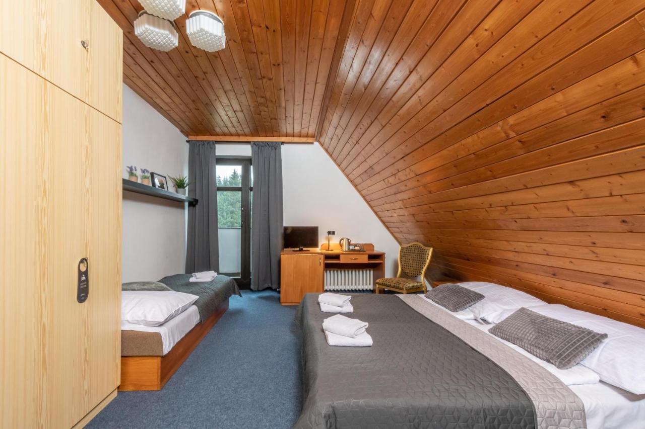Wellness Hotel Sedy Vlk Harrachov Extérieur photo