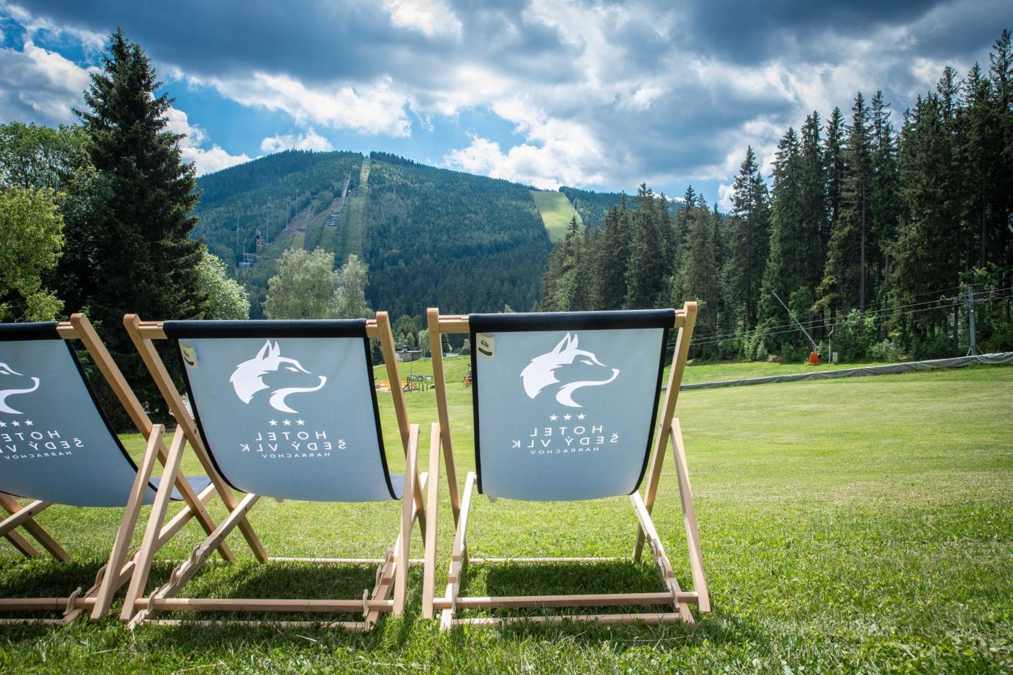 Wellness Hotel Sedy Vlk Harrachov Extérieur photo