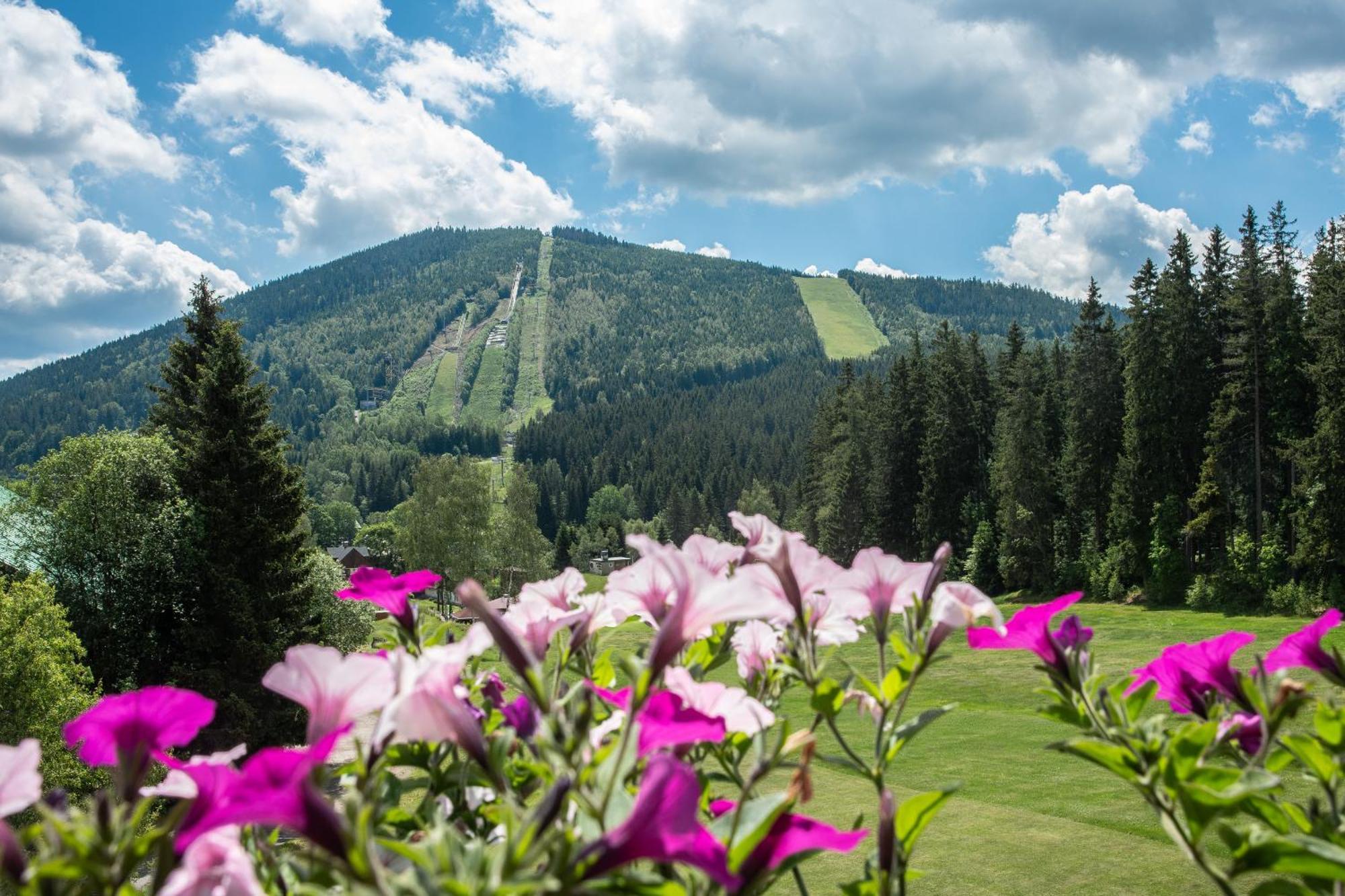 Wellness Hotel Sedy Vlk Harrachov Extérieur photo