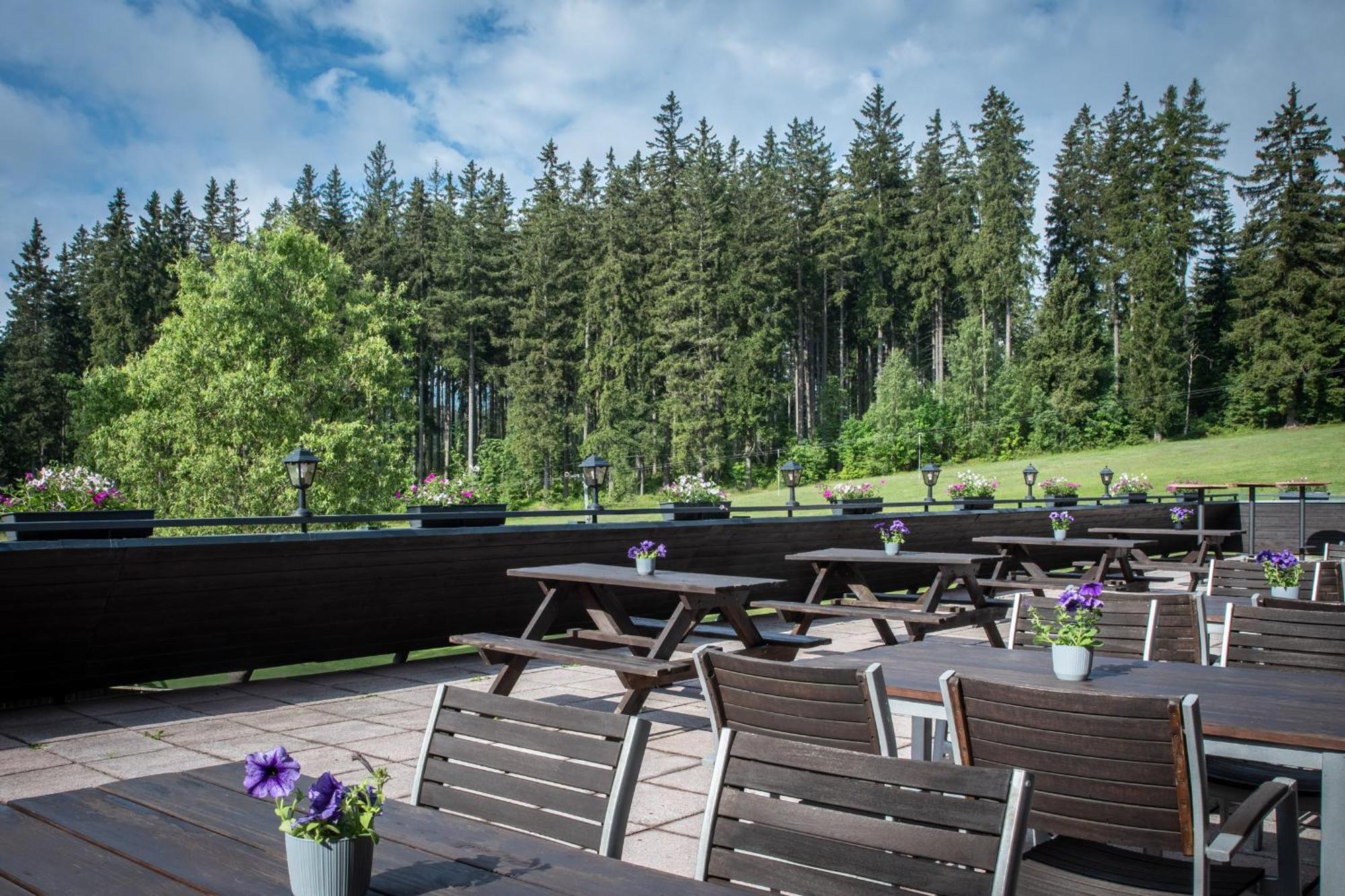 Wellness Hotel Sedy Vlk Harrachov Extérieur photo
